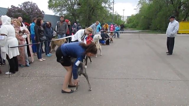 17/05/15/ Саратов BIG 2 гр.  Всерос. в-ка эксп.Никитин