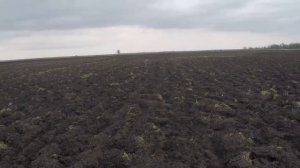 Охота на зайца 9 2017г ( Дело было на Кубани 2 )