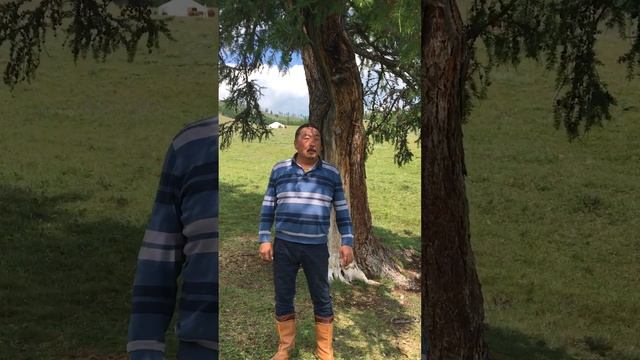 Сыгыт. Комунаа Мергенниң аяны