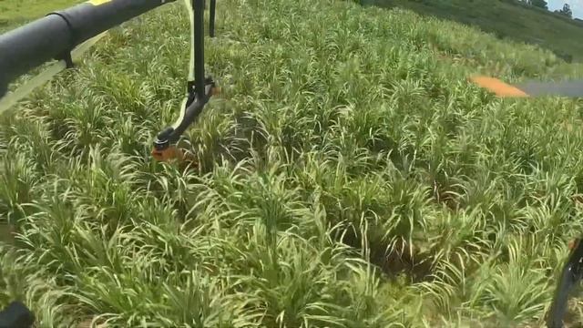 Drone DJI AGRAS T20 / โดรนฉีดปุ๋ยทางใบสำหรับพืช / Dronw spray at sugarcane crops смотреть онлайн