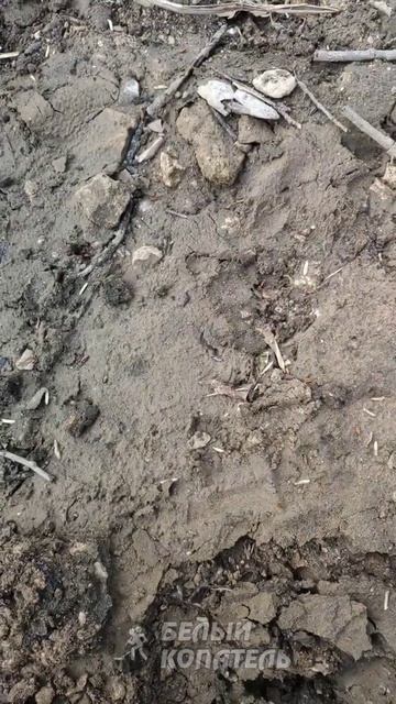 Пляжный поиск с Nokta Legend Лучшие находки за день! смотреть онлайн