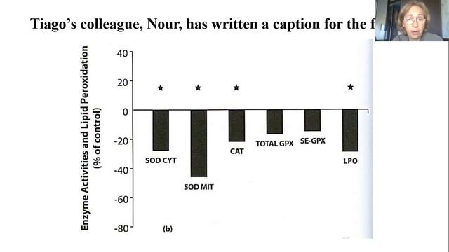 English Class Master Course 'Describing Visual Data-2 Unit 7' Гр. РЭТ 12 апреля 2021 смотреть онлайн