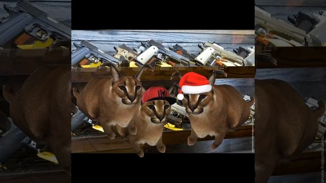 Шлепа и Пельмень сезон 1 серия 4 смотреть онлайн