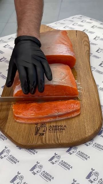 Азбука Севера