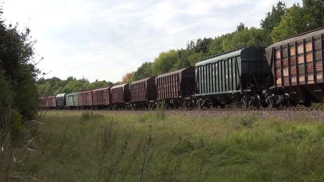 Тепловоз ЧМЭ3-3099 с вывозным поездом смотреть онлайн