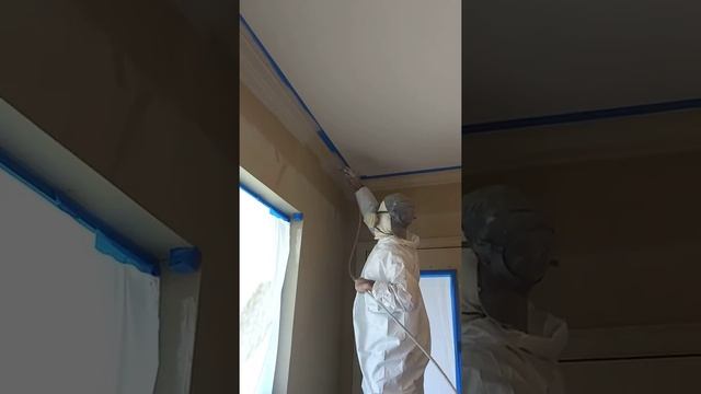 Graco fflp tip spray w the happy painter смотреть онлайн