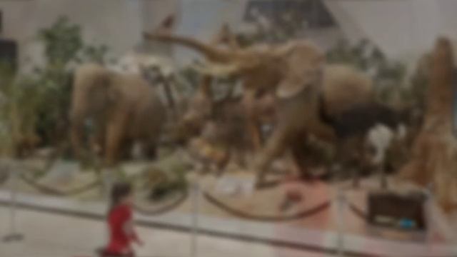 Поход в Дарвиновский музей смотреть онлайн