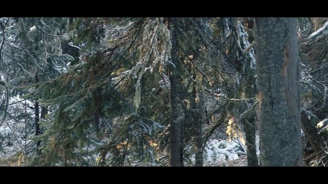 Косуля смотреть онлайн