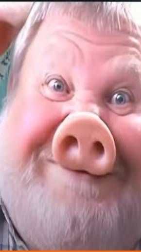 из подборки приколов