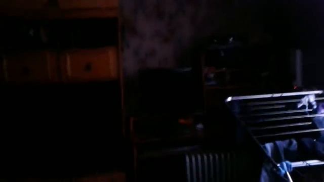 смешной котенок смотреть онлайн