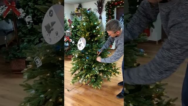 Cистема сбоки елки Quick Set Quick Fold смотреть онлайн