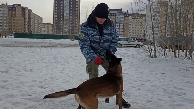 150. Инициативная собака. смотреть онлайн