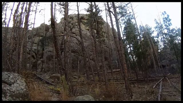 Black Elk Wilderness Grizzly Bear Trail 10 27 16 смотреть онлайн