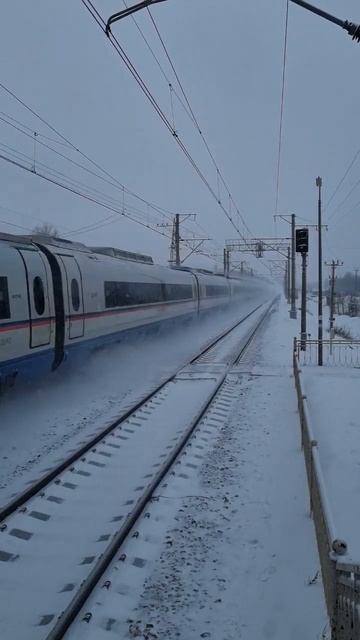 ЭВС1-07 "Сапсан" 769А Санкт-Петербург ÷Москва смотреть онлайн