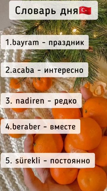 больше турецкого в инста: turkish_po_kaifu #турецкийязык #türkçe #турецкий #урокитурецкого смотреть онлайн