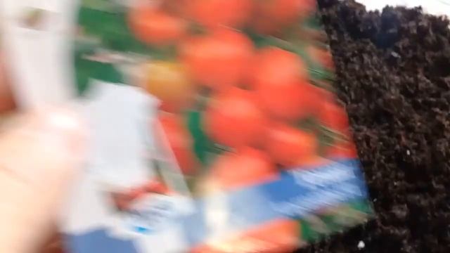 Сею помидоры. смотреть онлайн