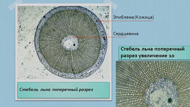 Электронный школьный атлас смотреть онлайн