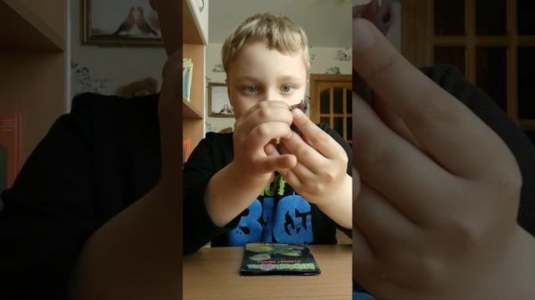 Летающая ящерица фирмы Деагостини