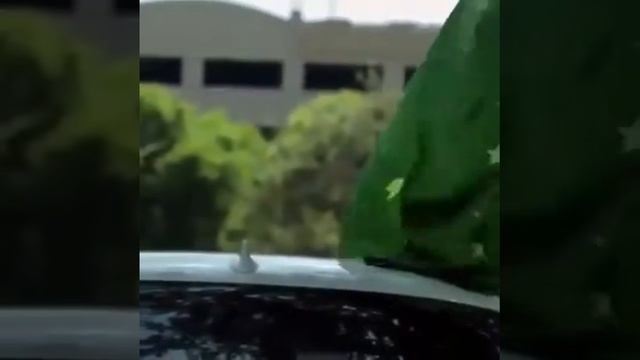 Кабардинцы в Америке смотреть онлайн