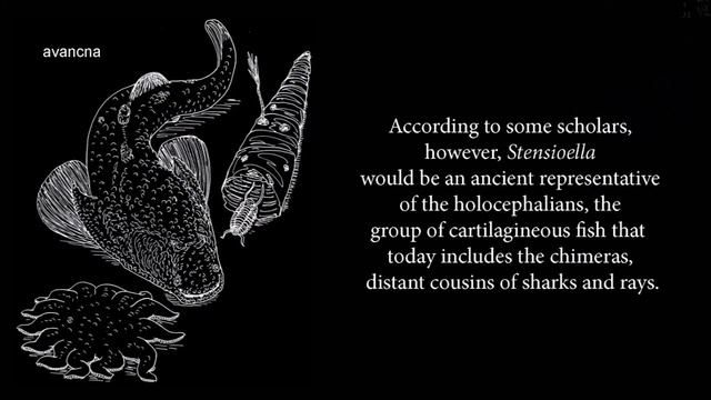 The Strangest Animals of the Devonian period смотреть онлайн