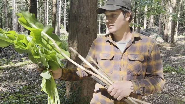 HOW TO COOK CHICKEN IN THE FOREST | Primitive Lifestyle Foraging For Food￼ #viral #food #love смотреть онлайн