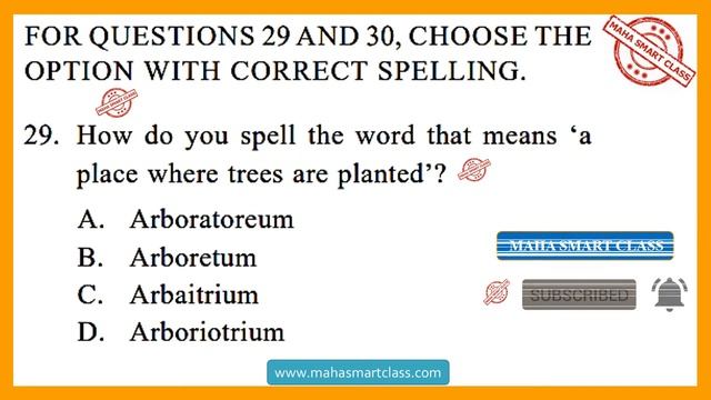 IEO CLASS-9 2018-19 Set-B | International English Olympiad SOLVED PAPER | Previous Year Paper