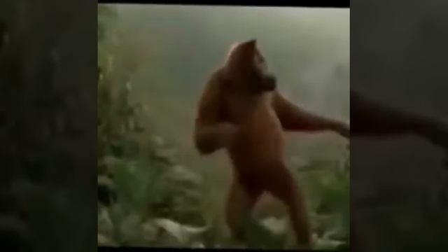 Каждый день школьников смотреть онлайн