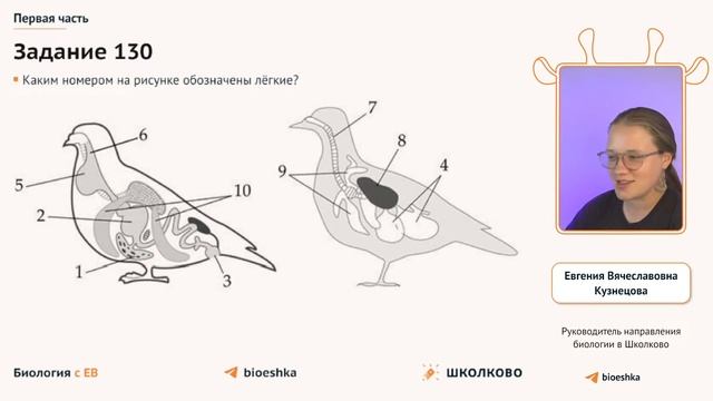 ЩЕЛЧОК к ЕГЭ 2024 по биологии | Зоология: практика 1 и 2 частей