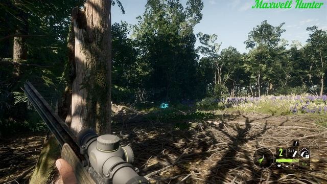 TheHunter Call Of The Wild Великое.Ружье Гранкина.Great One