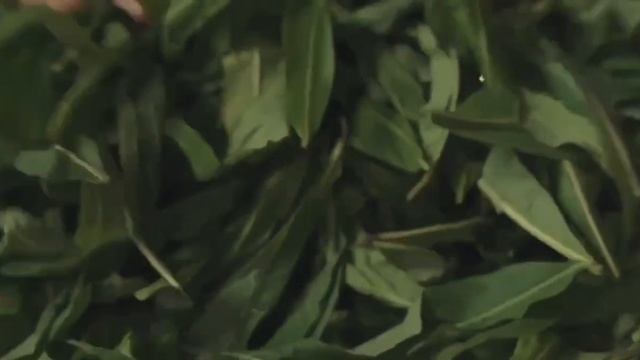 Видео реклама чая смотреть онлайн