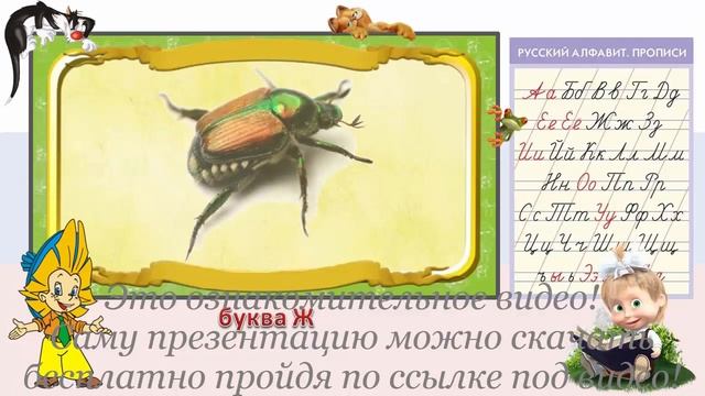 Русский язык, алфавит. Буква Ж смотреть онлайн