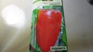 Перец «Джипси F1» от Садовита: Плюсы и минусы, стоит ли сажать?