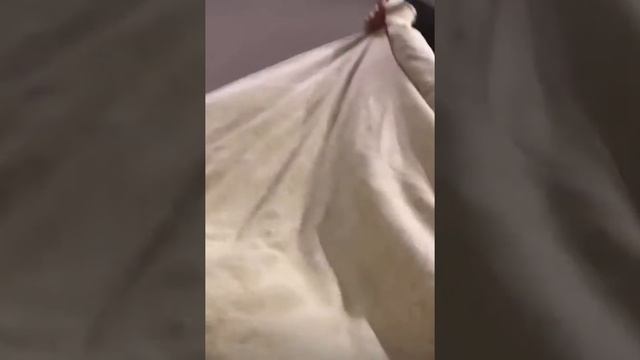 Повелся смотреть онлайн