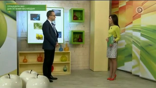 об ЭКО. Интервью профессора,акушер-гинеколога Джем Джемирель смотреть онлайн