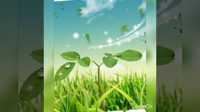 Жива та нежива природа смотреть онлайн