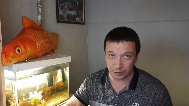 Как начать зарабатывать в Тик-Ток даже новичку в 2022 году. Процесс съёмки видео для Тик Ток смотреть онлайн