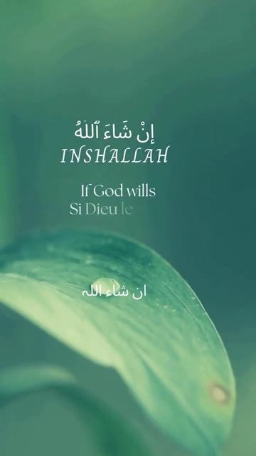 Common Islamic Phrases with Translation смотреть онлайн