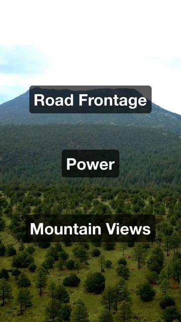 167 Acres of New Mexico Land for Sale • LANDIO #shorts смотреть онлайн