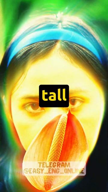 🧑🇬🇧 Переведи с АНГЛИЙСКОГО на РУССКИЙ слова быстрее чем Я (94) 💡 Английские слова которые должен смотреть онлайн