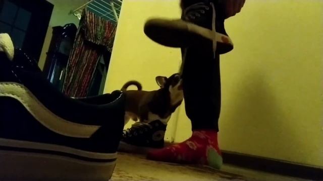 весёлый влог вместе со мной смотреть онлайн