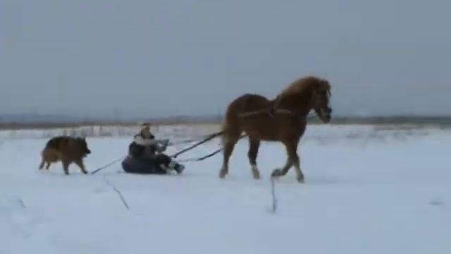киса ватрушка поле 1 смотреть онлайн