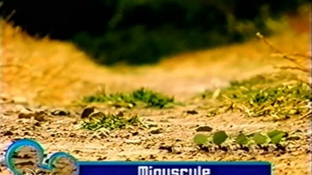 Disney Channel Screen Bug (Minuscule) (December 8, 2006) смотреть онлайн