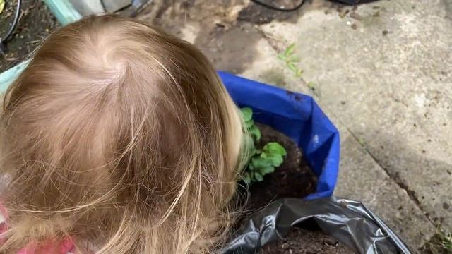 Growing Our Own Food! | Home Education UK смотреть онлайн