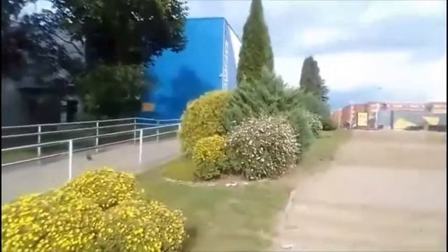 торговые сети в Эстонии, социальный статус за границей, ихтамнеты, госэкзамен по английскому 2 смотреть онлайн