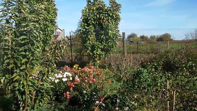 Передаю эстафету "Вопросы любимому блогеру" для Дашули Калининой смотреть онлайн