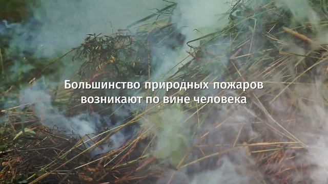 МЧС Пермский край смотреть онлайн