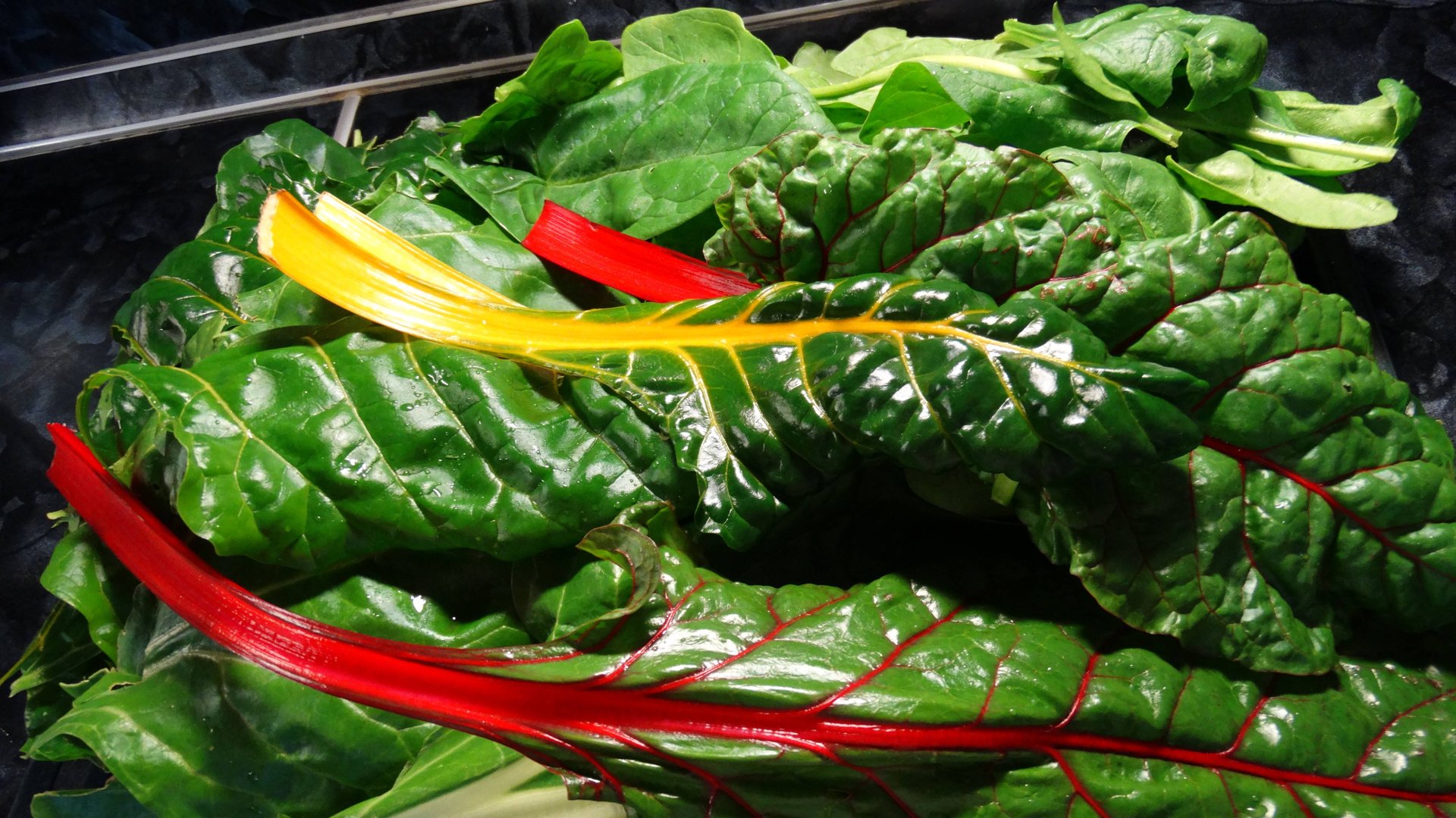 Мангольд и шпинат. Заготовка на зиму_ АРХИВ смотреть онлайн