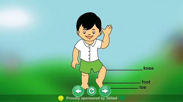 Части тела и лица.Parts of the face and body.Sing a Song'Heads, Shoulders, Knees and Toes'. смотреть онлайн