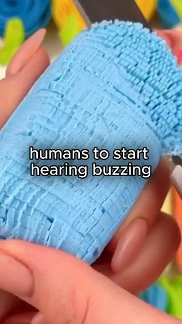 Curious Curiosities that will blow your mind! 🤯 #curiosities #curious #relaxing #facts смотреть онлайн