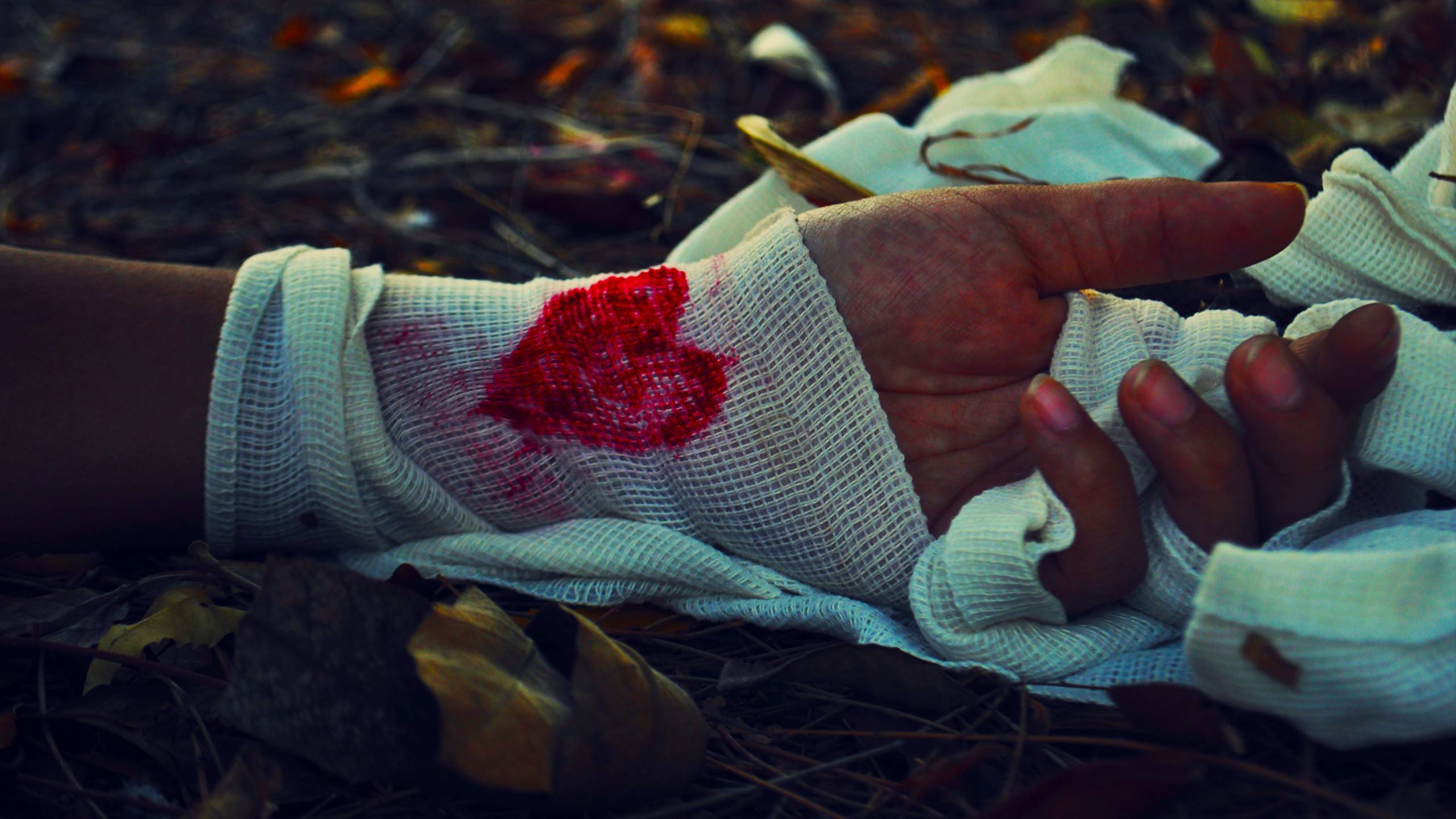 The Purpose of the Stigmata смотреть онлайн